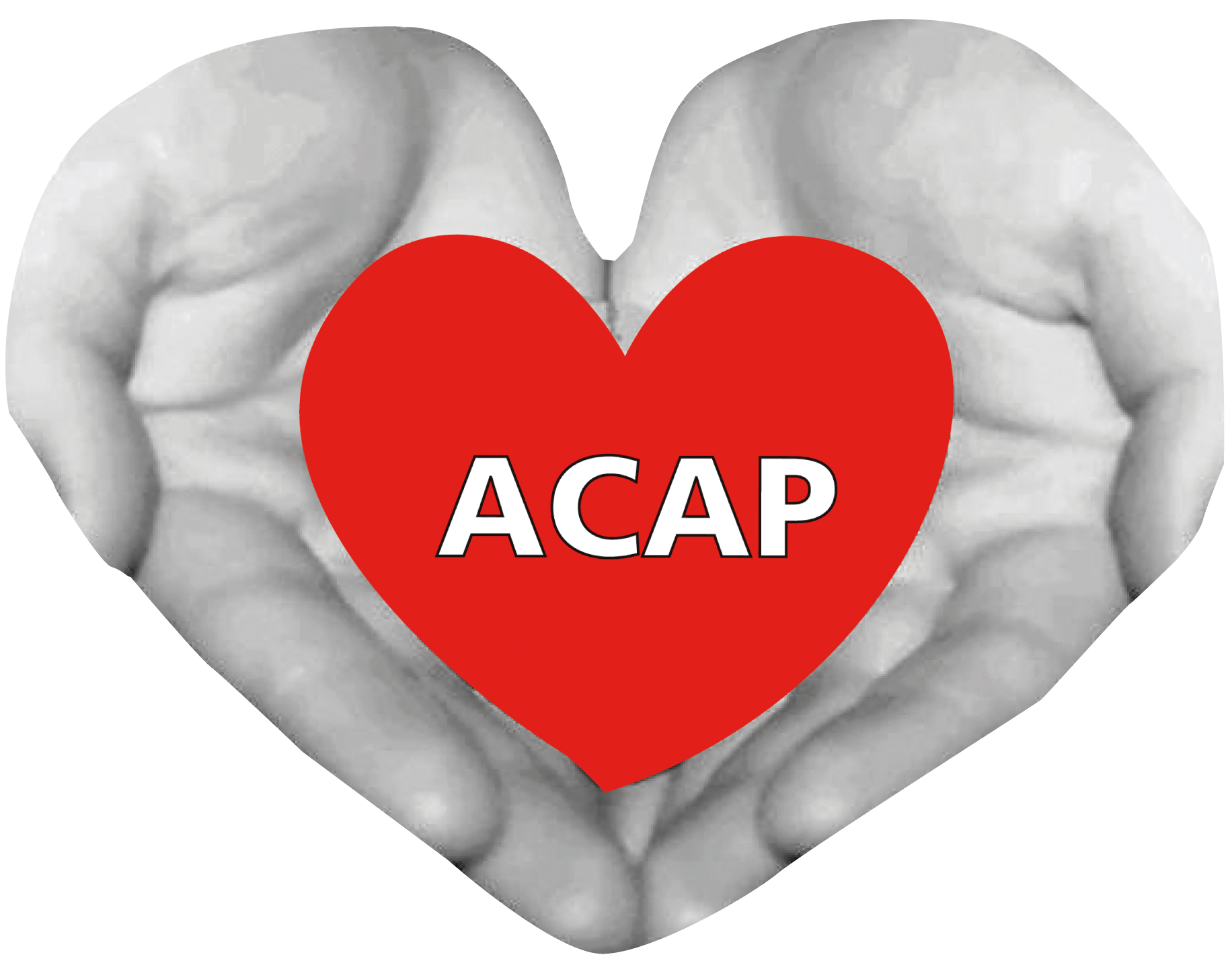 Asociación de Pacientes Cardiacos y Anticoagulados Portuenses (ACAP)