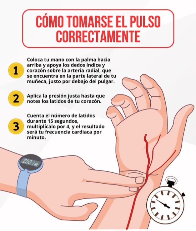 Tomarse el pulso2