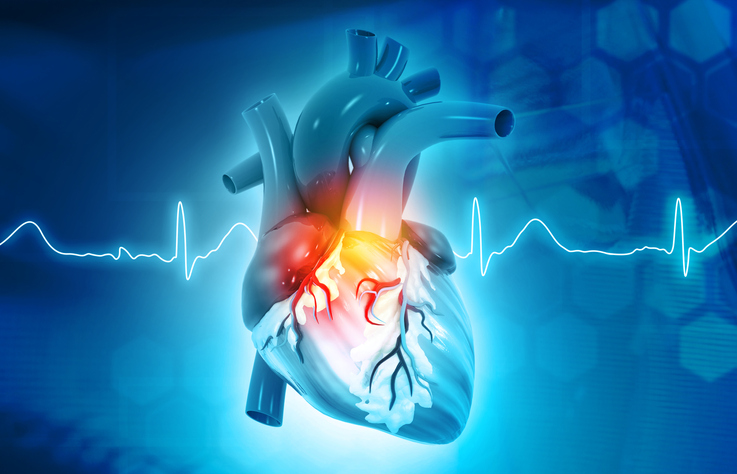 El electrocardiograma: cómo se realiza y qué información aporta