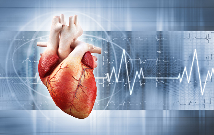 Monitorización Ambulatoria De Presión Arterial - Cardiología Deportiva