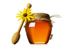 La miel: terapéutica y con propiedades nutricionales
